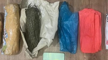 Penyamaran Polisi Bongkar Jaringan Pengedar Ganja di Batam, 1,85 Kg Barang Bukti Diamankan